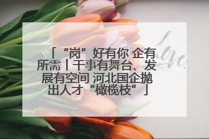 “岗”好有你 企有所需丨干事有舞台、发展有空间 河北国企抛出人才“橄榄枝”